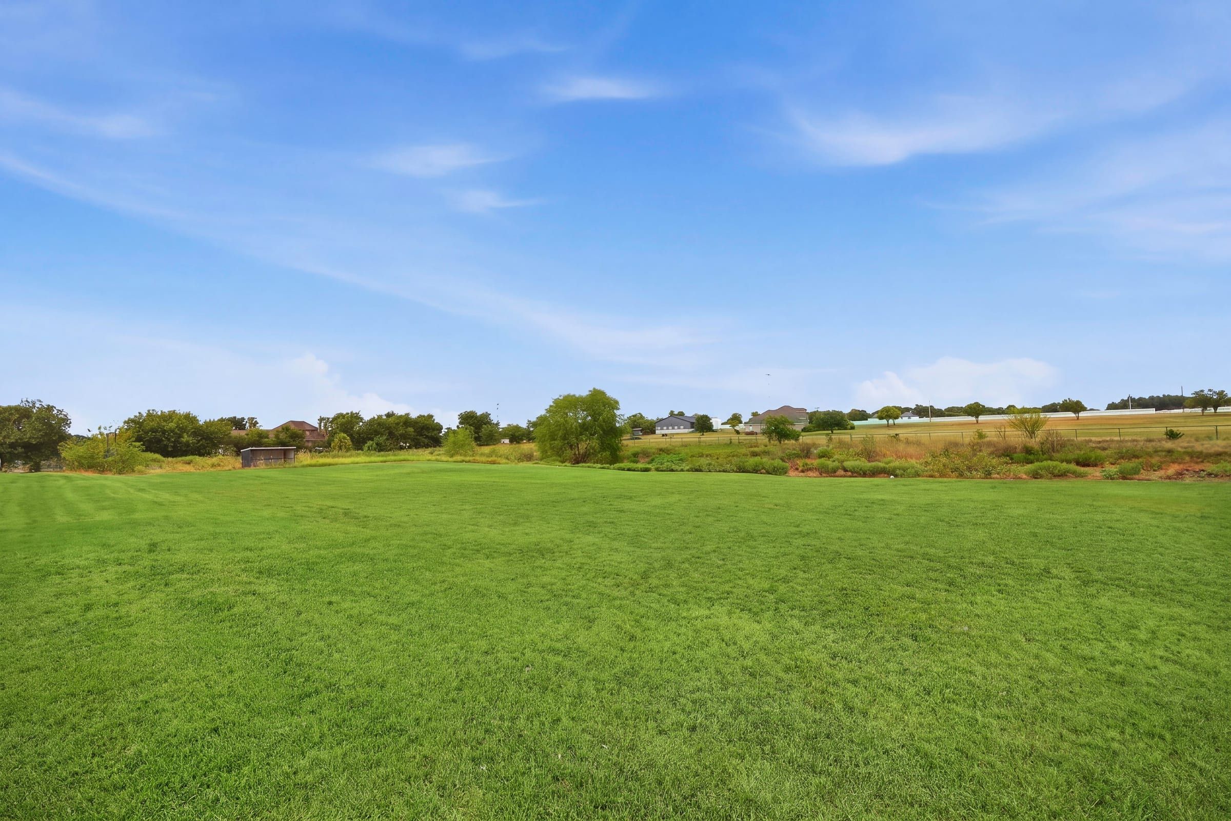 Open pasture toward the tree line